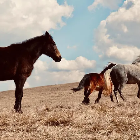 Mountain House * Tomislavgrad