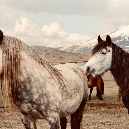 Mountain House Vikendica