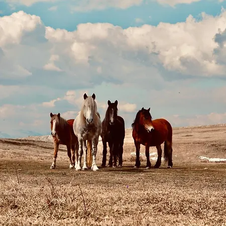 Mountain House Vikendica Tomislavgrad