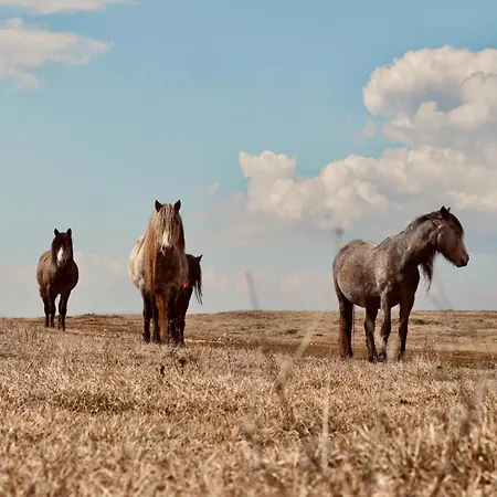 Mountain House Vikendica