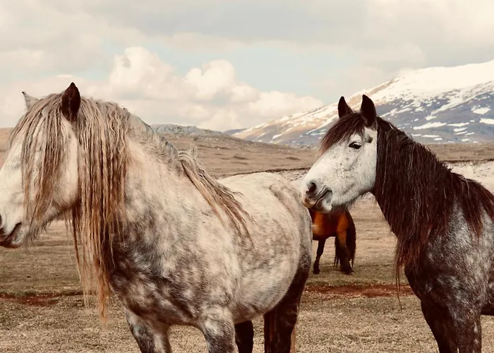 Mountain House Vikendica