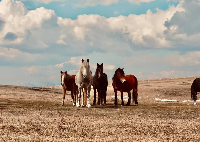 Mountain House Vikendica Tomislavgrad