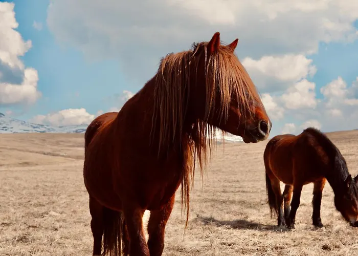 Mountain House Vikendica Tomislavgrad