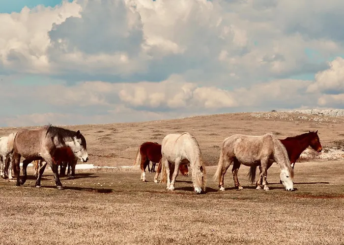 Vikendica Mountain House Tomislavgrad